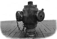 Collection of vintage and modern international fire hydrants photographs