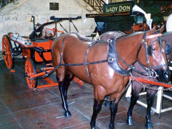 1886 motzelbach 2